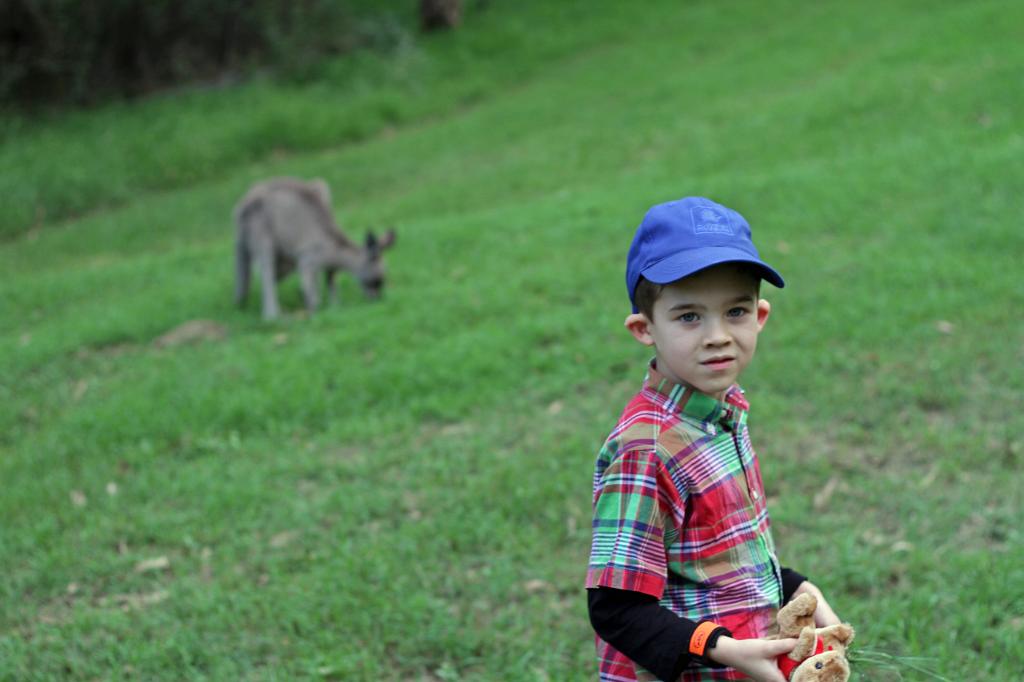 IMG_0172_m1.JPG - Rabbitohs Ethan